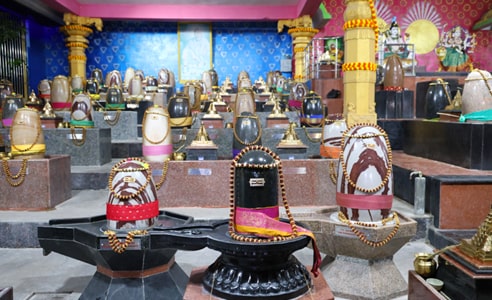 sri-chakra-parvatiparameswar-darbar