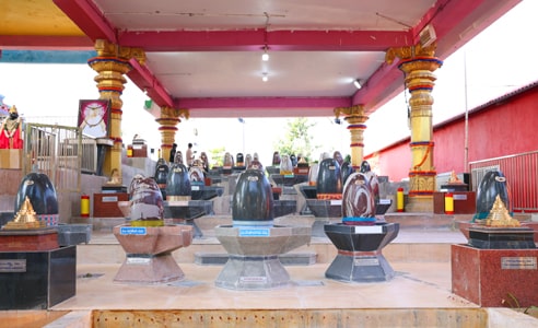 sri-chakra-rk-mai-darbar